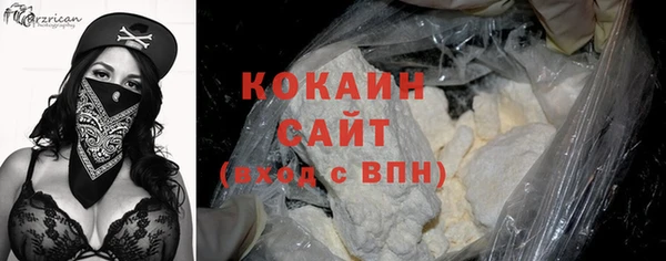 трава Бородино