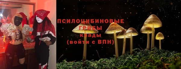 тгк Верея