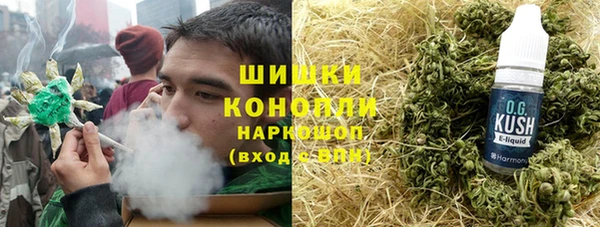 трава Бородино