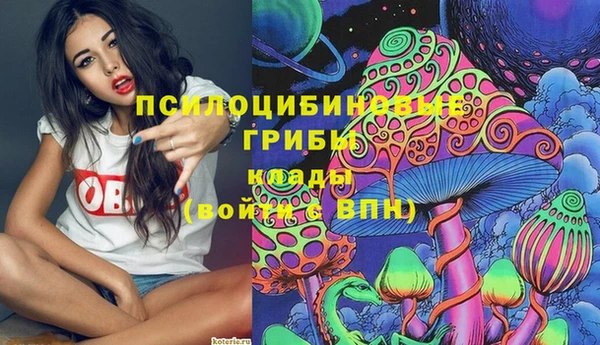 трава Бородино