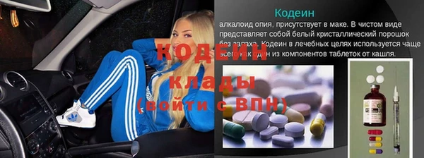 трава Бородино